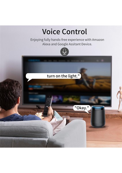 Wifi Akıllı Anahtar Dıy +RF433 Uzaktan Kumanda 1ch 7-32V 2.4g Wifi (Yurt Dışından)