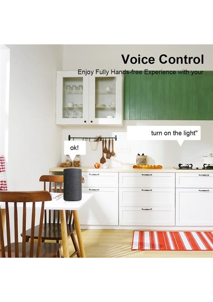 Akıllı Wifi Motor Anahtar Modülü Wifi+Bt 1ch Uzaktan Röle (Yurt Dışından)
