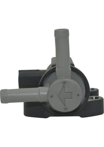 Araba Buhar Kutusu Temizleme Vanası Solenoid Vanası (Yurt Dışından)