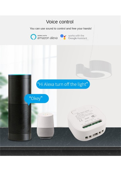 Tuya Wıfı RF433 Alıcı 16A Wifi Akıllı 433MHZ Alexa Ev Için (Yurt Dışından)
