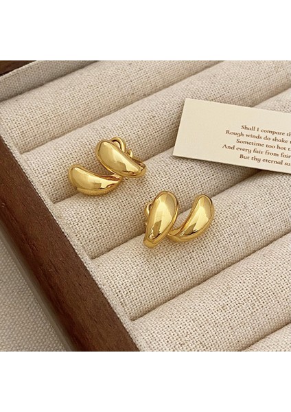 Basit, Çok Yönlü Niş Tasarım Küpeler Modadan Banliyö Küpelerine (Yurt Dışından)