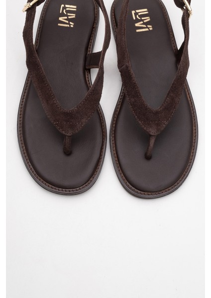 Belinda Kahverengi Süet Hakiki Deri Kadın Parmak Arası Sandalet fiyatları