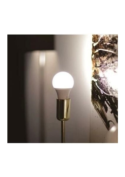 CT-4274 15 Watt LED Ampul Beyaz