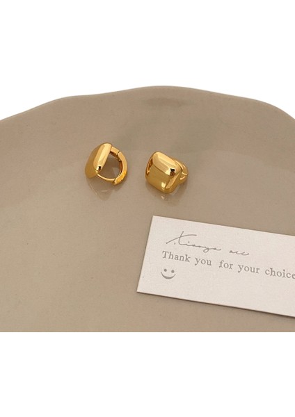 Basit, Çok Yönlü Niş Tasarım Küpeler Modadan Banliyö Küpelerine (Yurt Dışından)