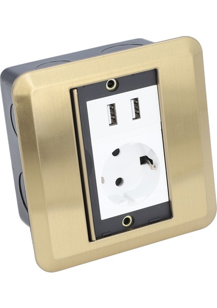 Masa Bağlantı Kutusu Konferans Odası Tezgah Masaüstü Priz Çıkış Şeridi Standart 2 Delik 2 USB Portlu AC250V (Yurt Dışından) fırsatları