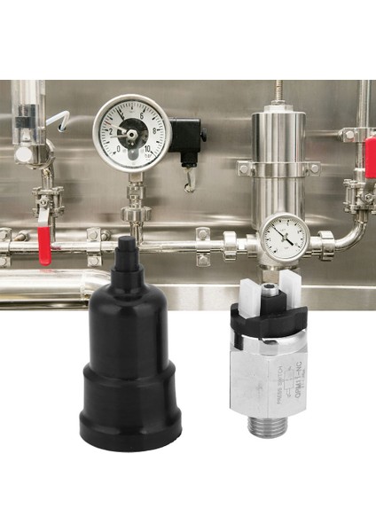 Ayarlanabilir Hava Basınç Anahtarı Normalde Kapalı QPM11-NC Anahtarı G1/4in AC220V 48VAC/DC (Yurt Dışından) fırsatları