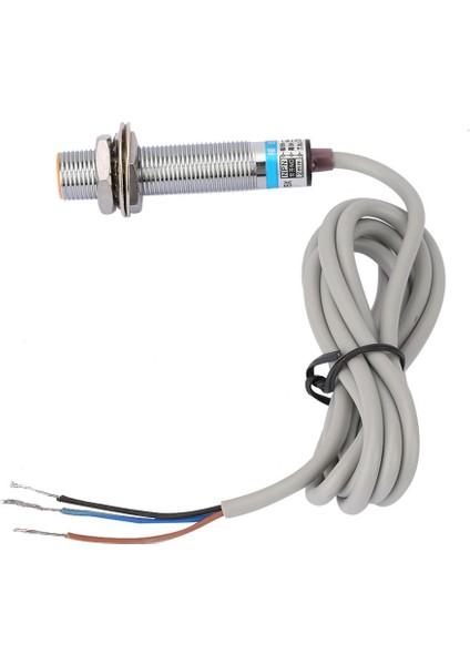 2mm Endüktif Yakınlık Sensörü Anahtarı Npn Normalde Açık LJ12A3-2-Z/BX (Yurt Dışından)