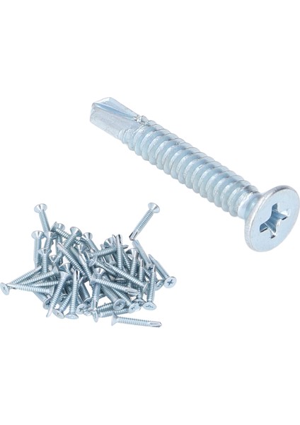 50 Adet Kendinden Delmeli Vida Çapraz Karbon Çelik 4.8X32MM Bağlantı Elemanı Seti Kiti Düz Başlı Onarım Için (Yurt Dışından) indirimleri