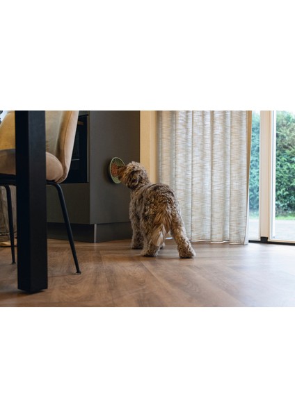 Yavru Köpek Mama Yeme Oyuncağı, Silikon, Yeşil, 19CM Drstr modelleri