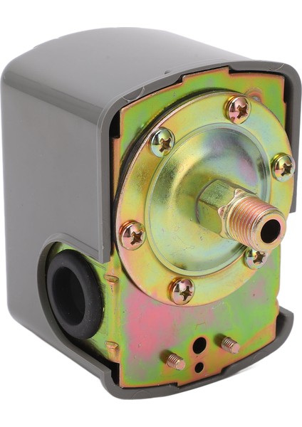 Su Pompası Kontrol Anahtarı Otomatik Zg1/4in Su Basınç Anahtarı Hava Pompası Basınç Anahtarı ‑ (Yurt Dışından) modelleri