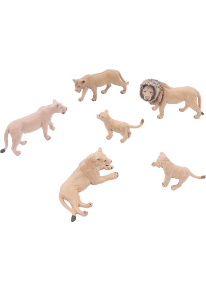 6 Adet Aslan Model Seti Gerçekçi Mini Vahşi Hayvanlar Heykeli Aslan Aile Figürleri Okul Projesi Için Dekorasyon (Yurt Dışından) fiyatları