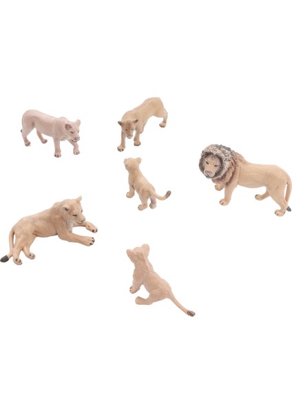 6 Adet Aslan Model Seti Gerçekçi Mini Vahşi Hayvanlar Heykeli Aslan Aile Figürleri Okul Projesi Için Dekorasyon (Yurt Dışından) fırsatları