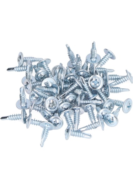 50 Adet Yuvarlak Başlı Matkap Vida Kaymaz Karbon Çelik Galvanizli Kendiliğinden Delinmiş Vidalar 4.2X16MM Rondela (Yurt Dışından)
