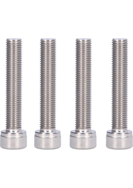 4 Adet Altıgen Cıvata Soket Kapak Vidası A2 Paslanmaz Çelik 1.25MM Ince Aralıklı Bağlantı Elemanı Donanımı M10X55 (Yurt Dışından)