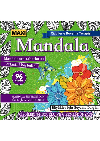 Mandala Çizgilerle Boyama Terapisi 016