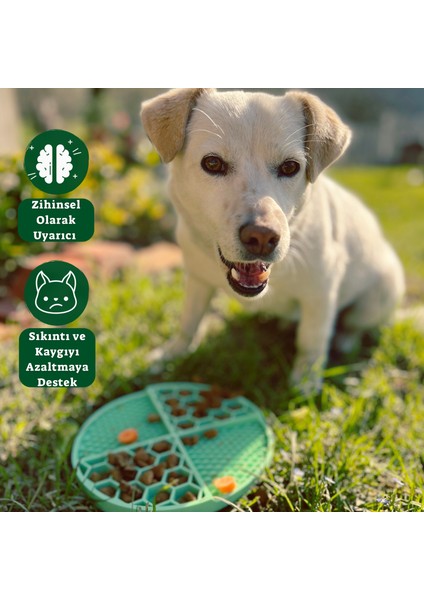 Köpek ve Kedi Için Yavaş Yeme Kabı ve Yalama Matı Gıda Sınıfı Silikon Can Sıkıntısı Azaltıcı