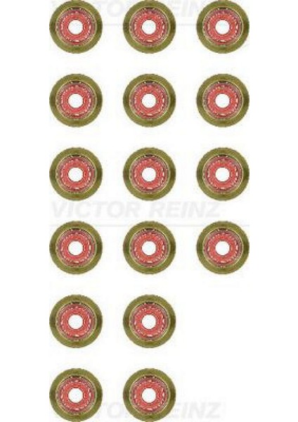 Supap Lastiği Takimi 16 Adet P206-P207-P307-P308-P407-P3008-EXPERT-PARTNER-BERLINGO-JUMPY-XSARA- C3-C4-C5-Focus-Fiesta-C-Max-Scudo 1.6 Dv6 Hdi-Tdci Dpmah