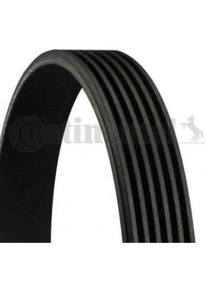 Kanalli Kayiş Mercedes Audi Jeep Chevrolet Gmc Saab Ssangyong Hyundai 68478 Dpmah