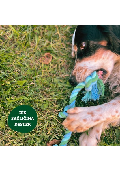 Doğal Pamuk Düğümlü Halat - Standart Boy Köpek Oyuncağı fırsatları