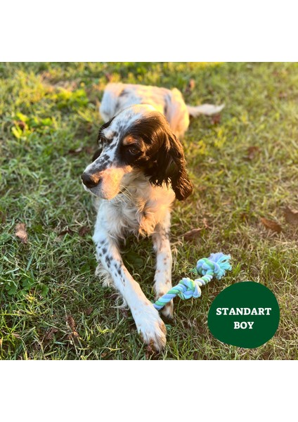 Doğal Pamuk Düğümlü Halat - Standart Boy Köpek Oyuncağı indirimleri
