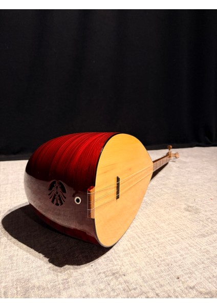 -Öğrenci Kompozit Bağlama (Kısa Sap)