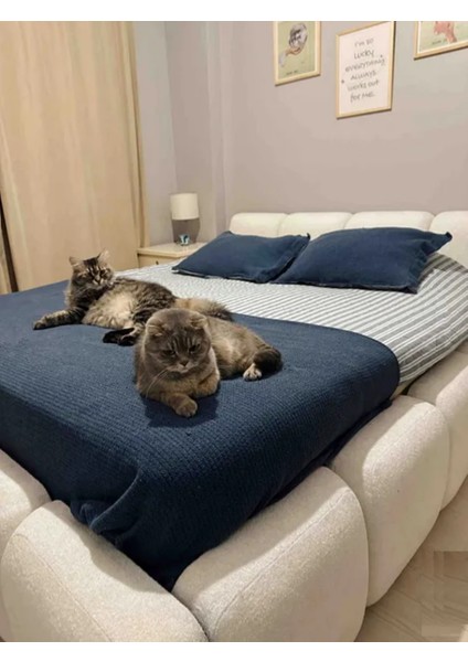 Most Oktagon Bazalı Karyola 01 Beyaz Bukle Kumaş Işbir Kuştüyü Sünger 160 x 200 Yatak Için(Kurulum Dahil) fiyatları