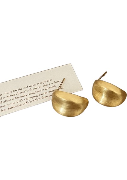 Niş Tasarım Metal Saplama Küpeler Moda Vintage Basit Moda Küpeler (Yurt Dışından)