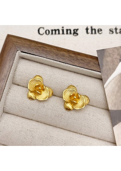 Niş Tasarım Metal Saplama Küpeler Moda Vintage Basit Moda Küpeler (Yurt Dışından)