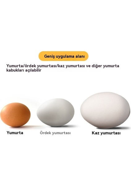 Paslanmaz Çelik Yumurta Açma Kabuğu (Yurt Dışından) fırsatları