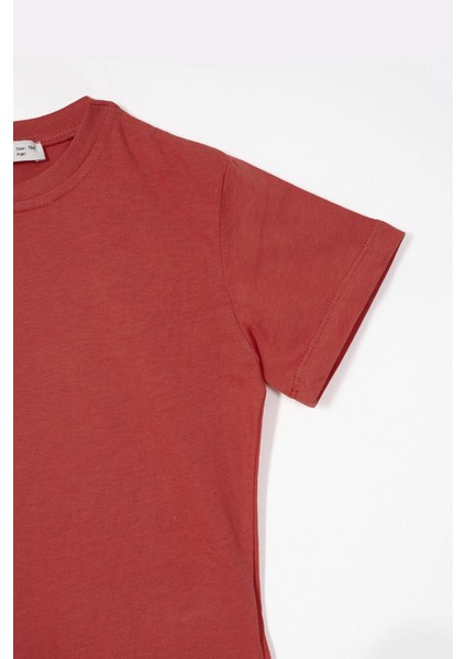 Bisiklet Yaka Kiremit Renk Erkek Çocuk Tshirt modelleri