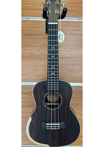 Ukulele Concert Boy Kılıf Dahil