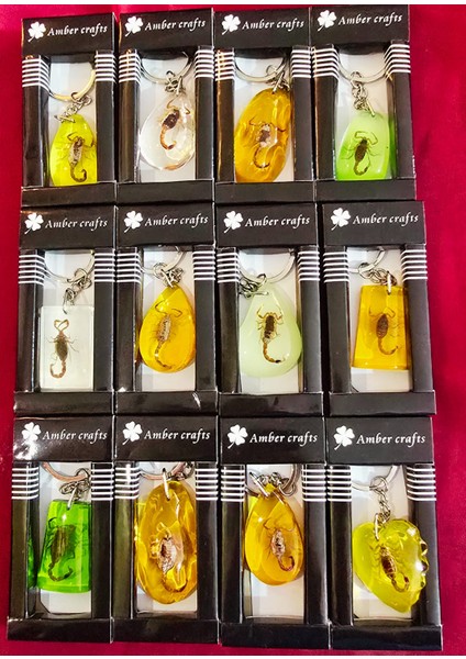 Amber Craft Marka 12'li Akrep Anahtarlık Set