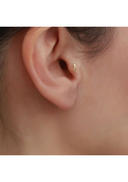 14 Ayar Altın Kelebek Tragus Piercing