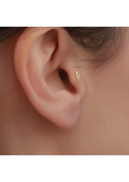 14 Ayar Altın Taşlı Balık Tragus Piercing