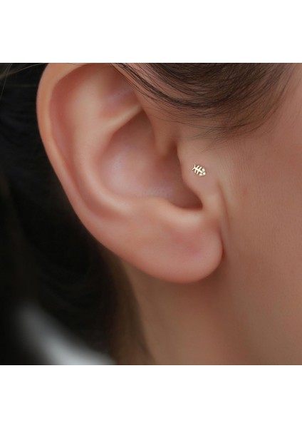 14 Ayar Altın Taşlı Balık Tragus Piercing