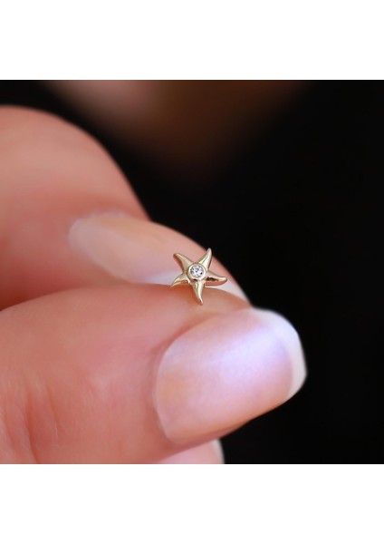 14 Ayar Altın Taşlı Deniz Yıldızı Tragus Piercing