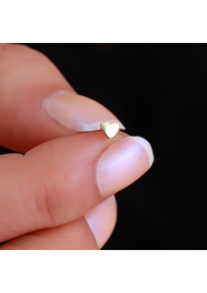 14 Ayar Altın Kalp Tragus Piercing