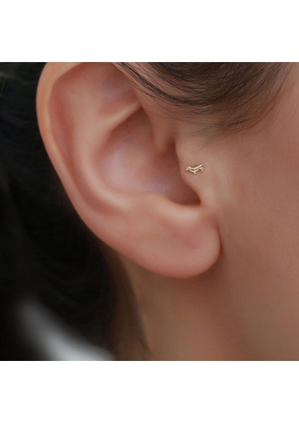14 Ayar Altın Köpek Motifli Tragus Piercing