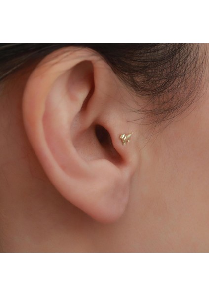 14 Ayar Altın Köpek Motifli Tragus Piercing