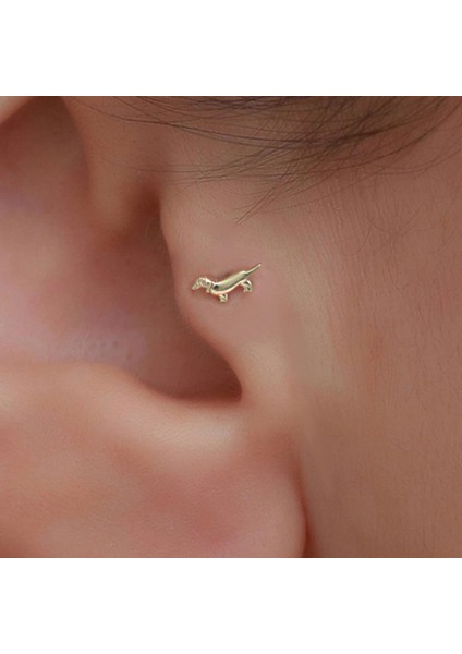 14 Ayar Altın Köpek Motifli Tragus Piercing