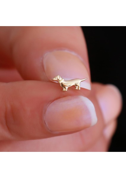 14 Ayar Altın Köpek Motifli Tragus Piercing