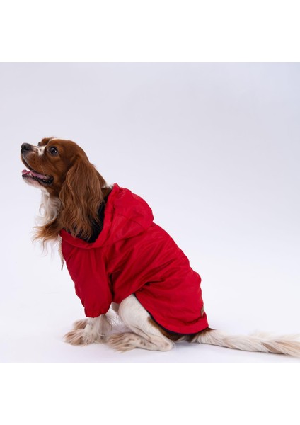 Kırmızı Mont Köpek Mont Köpek Kıyafeti Köpek Yağmurluğu(Küçük-Büyük Irklar) fiyatları
