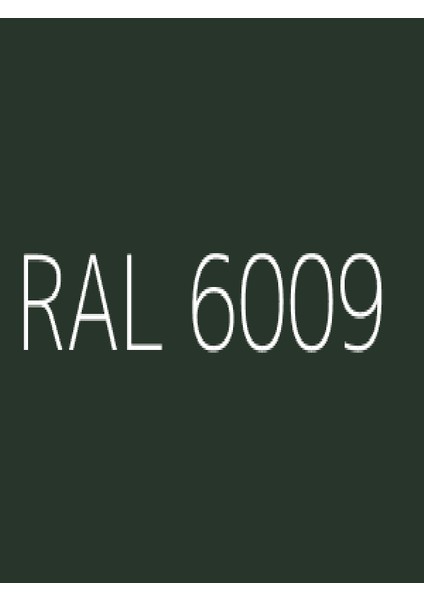 Özel Dolum Sprey Boya 400ML RAL 6009 MAT fiyatları