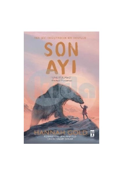 Son Ayı-Ayı Dönüyor