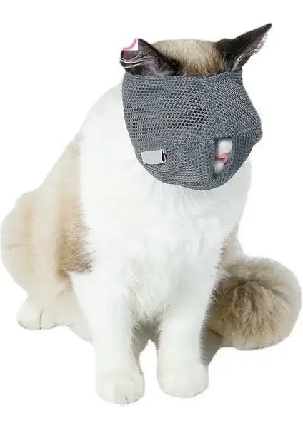 Evcil Hayvan Tüy Alma Tarağı Kedi Köpek Fırçası Evcil Hayvan Tüy Bakım Aletleri Yavru Köpek Tüy Dökme Tarağı Evcil Hayvan Tüy Kesme Tüy Alma Fırçası (Yurt Dışından)