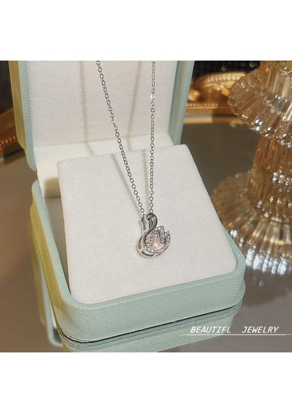 Bayan Titanyum Çelik Kolye Kolye Zinciri Mücevherat (Yurt Dışından)