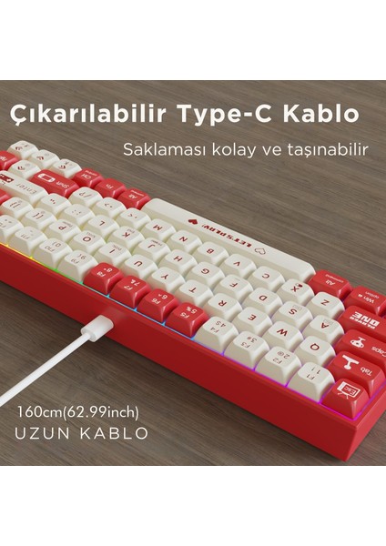 AK680 Kablolu %65 Boy Mekanik Oyuncu Klavyesi-Rainbow Aydınlatma Hot-Swap modelleri