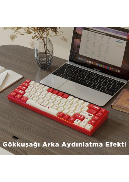 AK680 Kablolu %65 Boy Mekanik Oyuncu Klavyesi-Rainbow Aydınlatma Hot-Swap