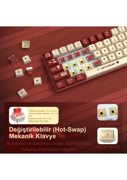 AK680 Kablolu %65 Boy Mekanik Oyuncu Klavyesi-Rainbow Aydınlatma Hot-Swap