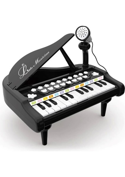 Mikrofonlu 24 Tuşlu Piyano Mp3 (Pembe,siyah,beyaz)